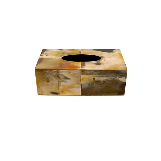 COLOURFUL HORN TISSUE BOX
